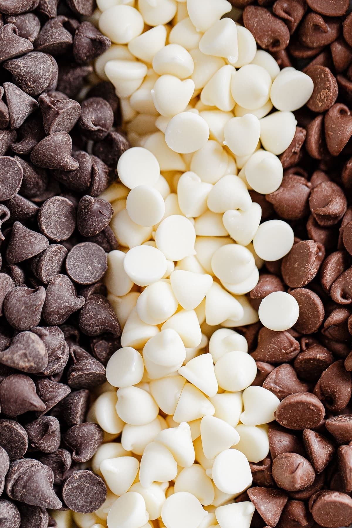 Chocolate & Cocoa Scents